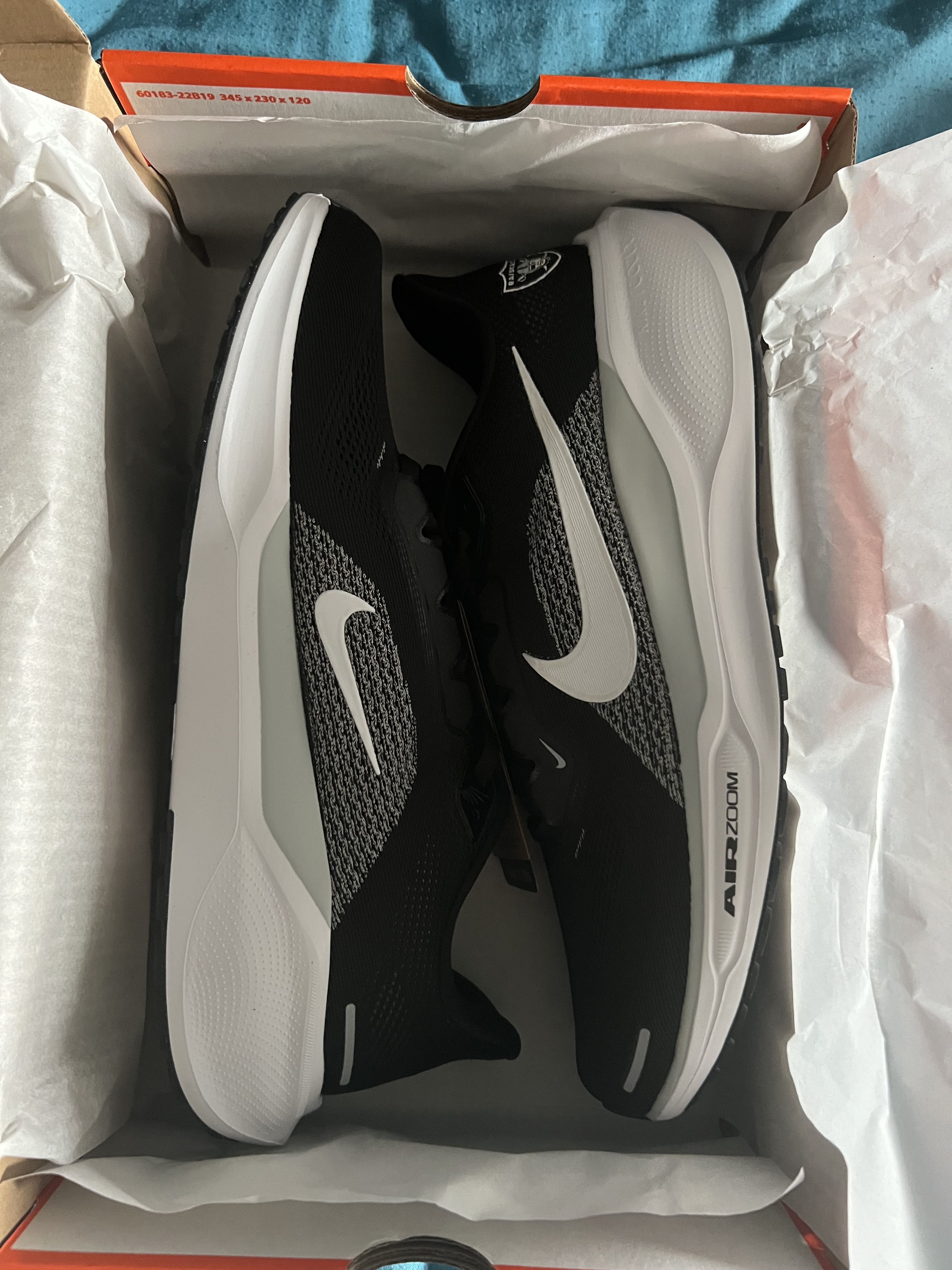 Chaussures Nike Pegasus raiders