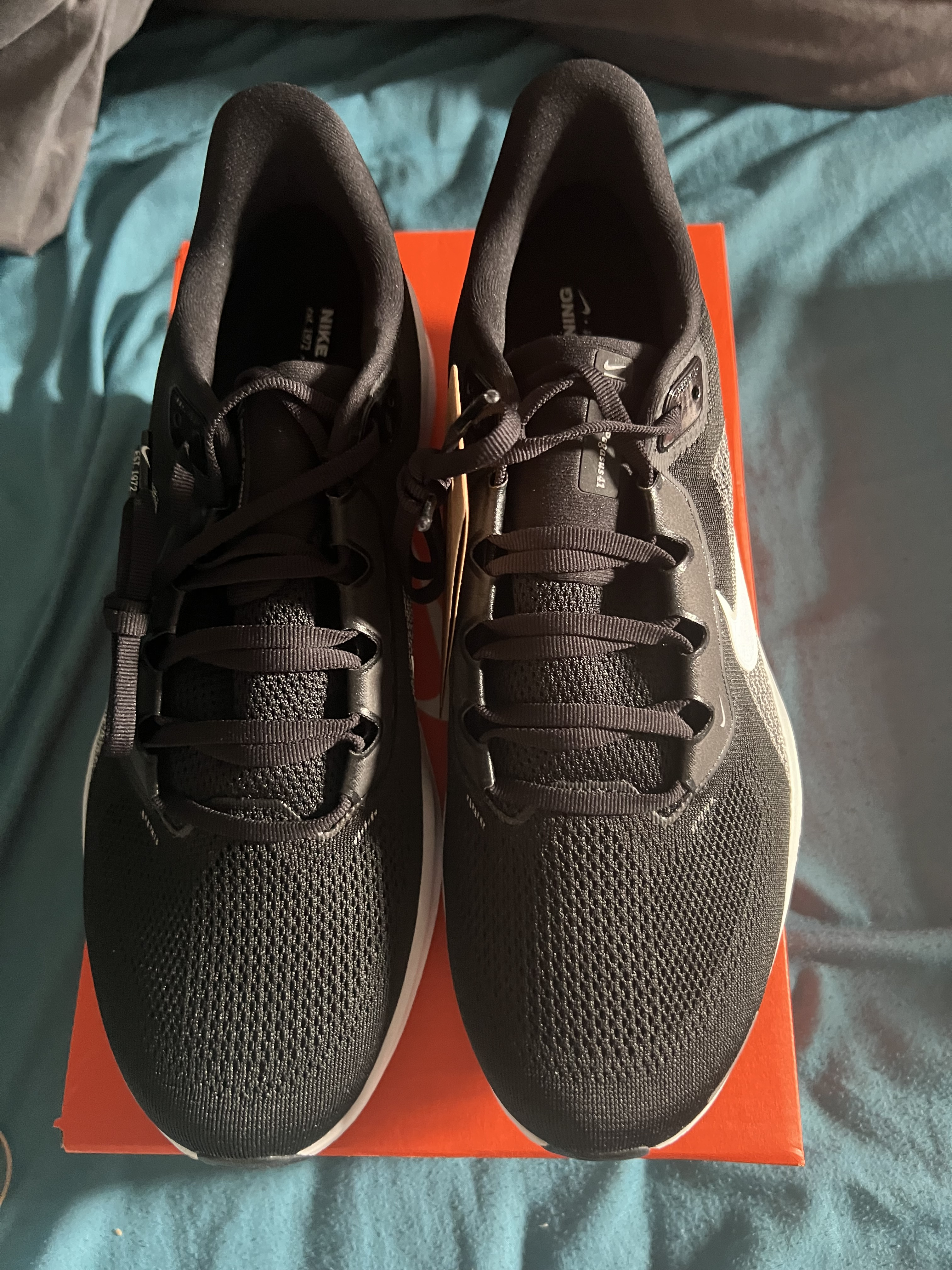 Chaussures Nike Pegasus raiders - Image 2
