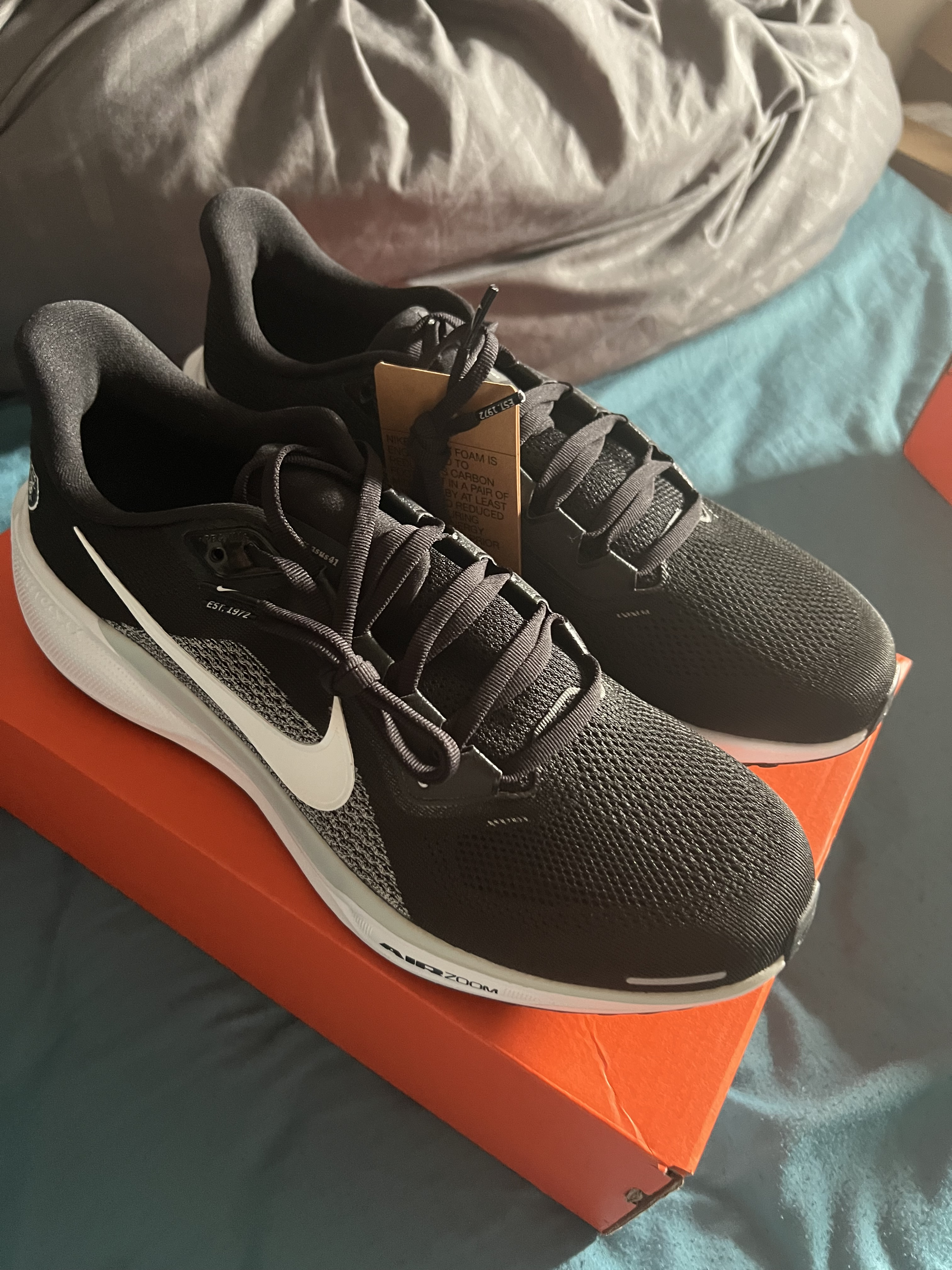 Chaussures Nike Pegasus raiders - Image 3