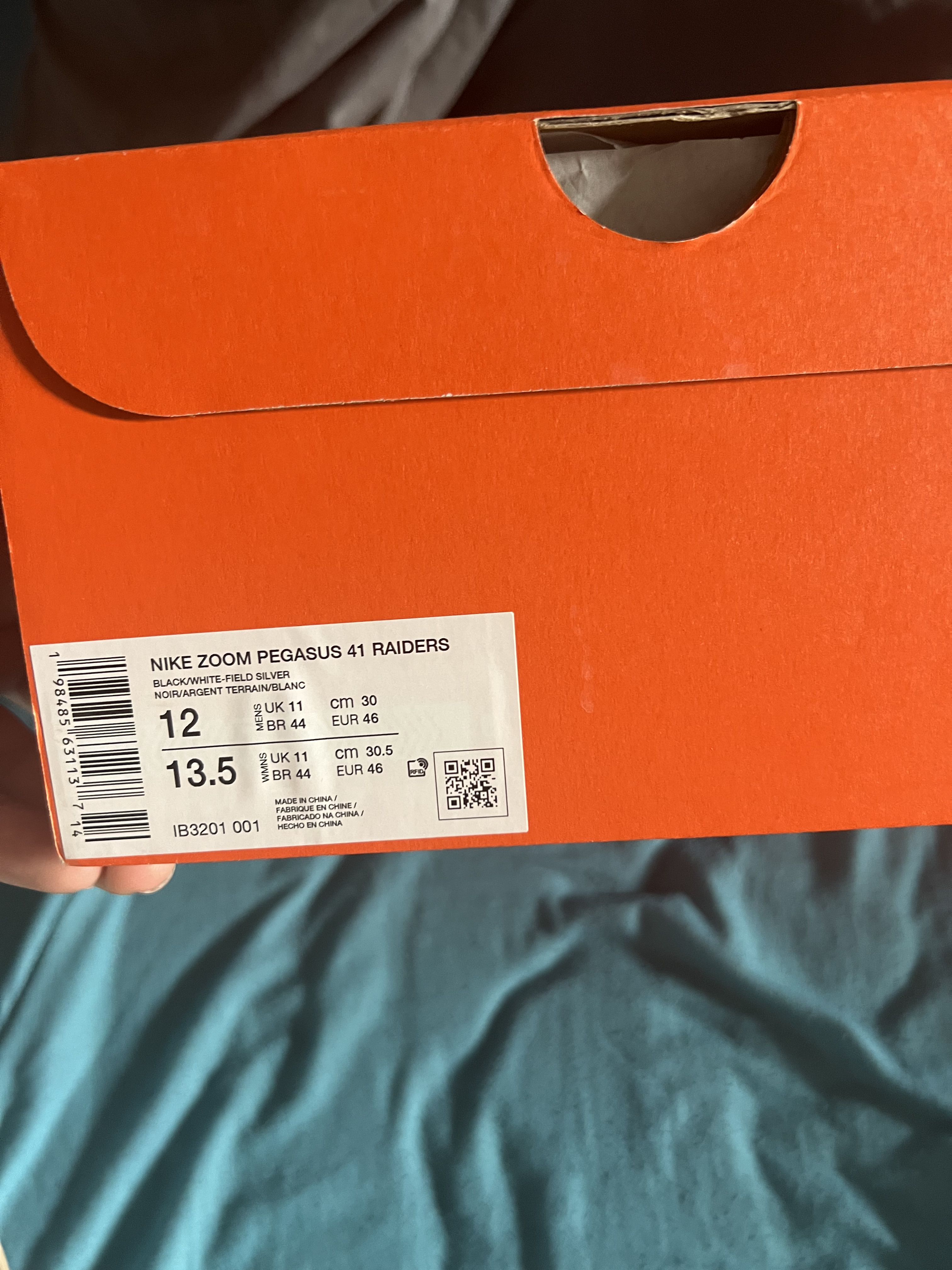 Chaussures Nike Pegasus raiders - Image 4