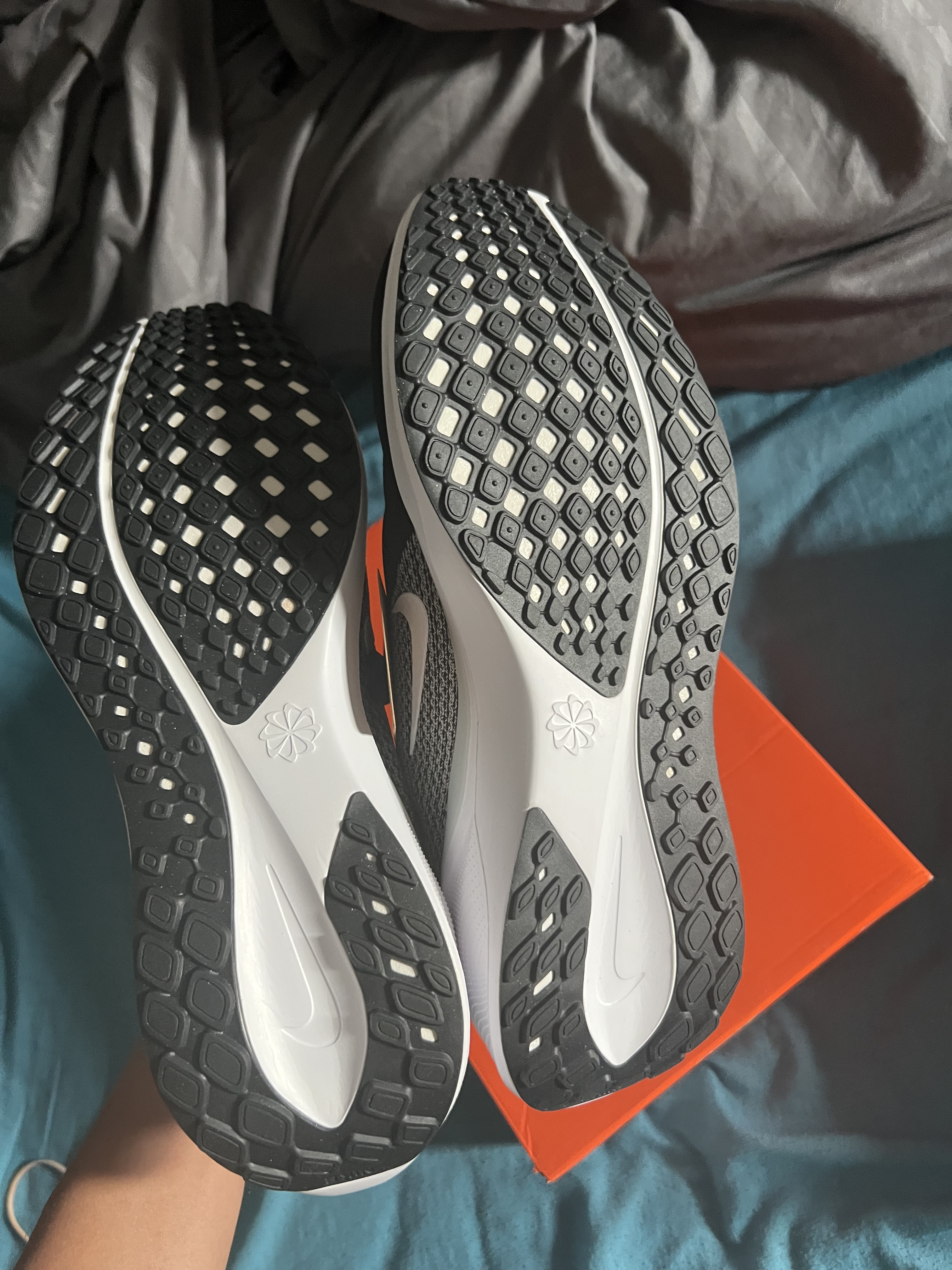 Chaussures Nike Pegasus raiders - Image 5