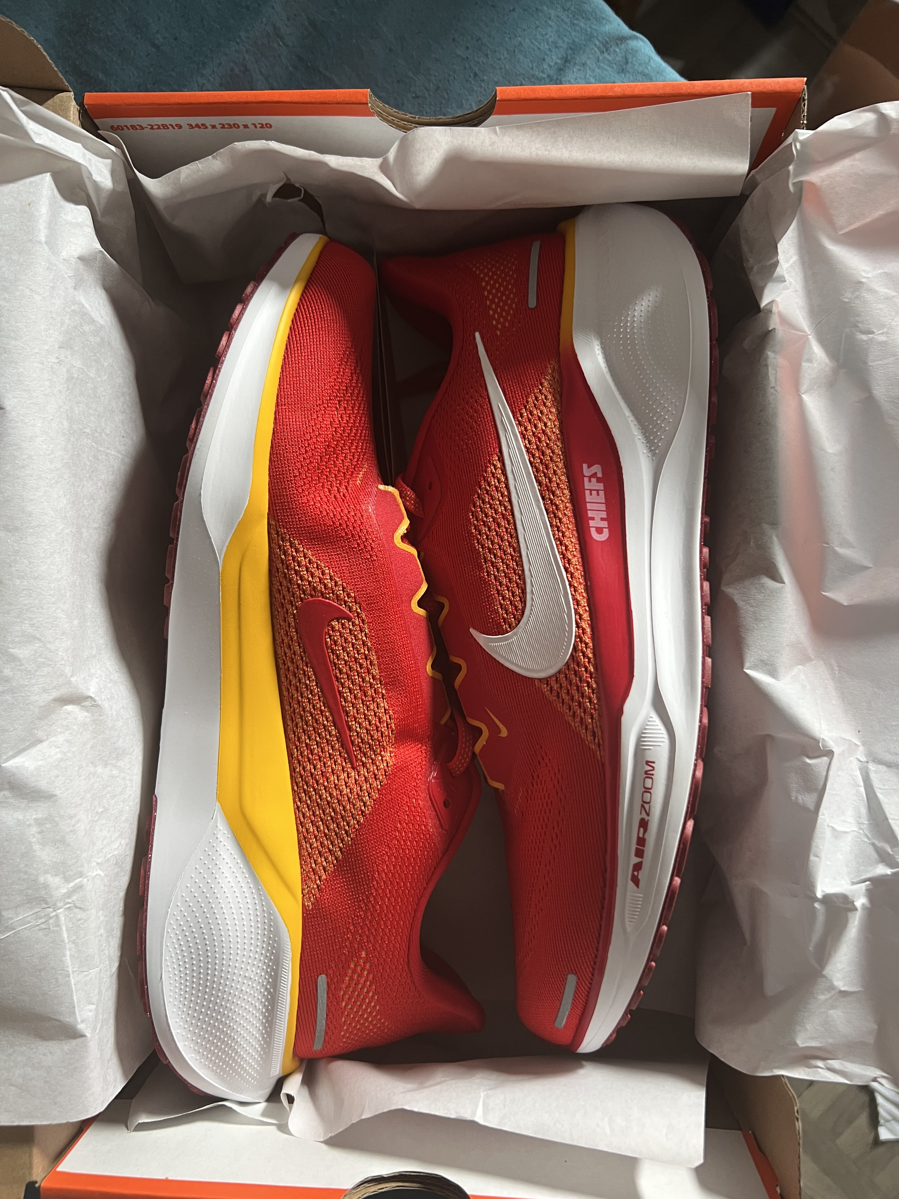 Chaussure Nike pegasus